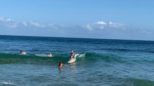 Un groupe de personnes qui font une vague sur une planche de surf dans l'océan dans l'établissement Beach Cabarete Lodge Eco De Luxe Surf, Kite, Yoga, à Cabarete
