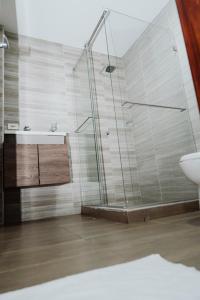 Big Comfort Apartment في فاليدوبار: حمام مع دش ومغسلة