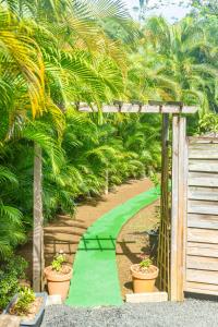 un chemin verdoyant dans un jardin planté de palmiers dans l'établissement Bord de Rivière & Piscine Privée - TiKaz Twopikal, à Sainte-Rose
