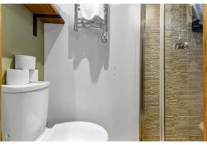 a bathroom with a toilet and a shower at Charming Log Cabin with Hot Tub & Grill in London