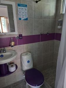 a bathroom with a purple toilet and a sink at LA RIVERA HOSTERIA CAMPESTRE in Villamaría