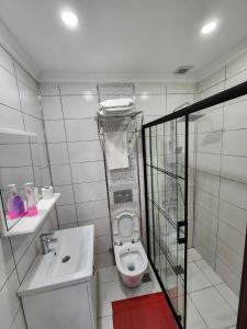 a small bathroom with a toilet and a sink at sea star duran apart in Istanbul