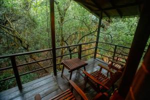 Un balcón o terraza de INN On The Tree Eco Resort Sigiriya