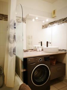 Un baño con lavadora y lavabo. en Au Cocon d'Ornon - Top Location Bordeaux, en Villenave-dʼOrnon
