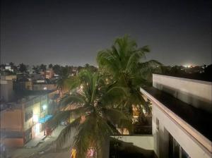 a view of a city at night with a palm tree at Roof top couple stay cozy in Mysore