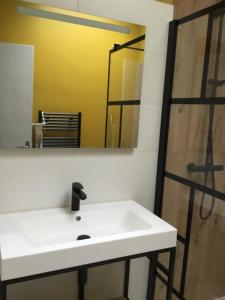ein Badezimmer mit einem weißen Waschbecken und einem Spiegel in der Unterkunft Le Clos des Gazanias in Grignols