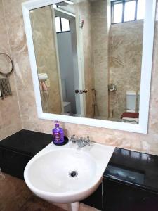 a bathroom with a sink and a large mirror at Renovated 2 Bedroom Seavilla for 6pax in Pantai Cenang