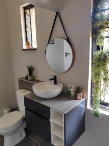 uma casa de banho com um lavatório e um espelho num balcão em One Three Nine On Roberts em Pietermaritzburg