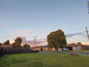 a yard with a tree and a street with houses at Y&Y Holiday House in Craigieburn