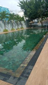 een zwembad met helder water en palmbomen bij CANTERBURY Green GONAPOLA 1BF5U6 
