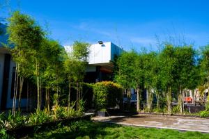 une maison avec des arbres devant elle dans l'établissement Casi Verde Guest House, à Panglao
