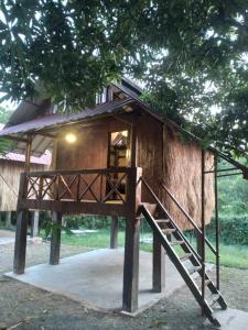 a tree house with a staircase in front of it at Le Soleil in Kep