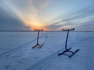two skis in the snow with the sun in the background at Hide in the nature – cozy lakeside saunacottage in Rannaküla