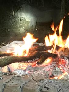 a fire pit with logs and flames in it at Kruger Wild Dog Inn in Marloth Park