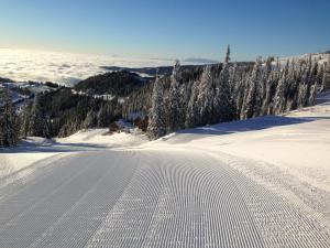 MoselebauerAlm semasa musim sejuk