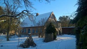 a house in the snow with a christmas tree in the yard at Historisches Reetdachhaus mit Bauwagen und großem Obstgarten in Ueckermünde +42 photos