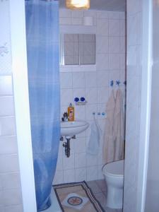uma casa de banho com um chuveiro, um lavatório e um WC. em Ferienwohnung Klabunde em Eggesin