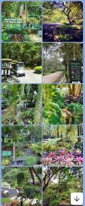 Fotografie z fotogalerie ubytování Bangnu Greenery Resort v destinaci Takua Thung
