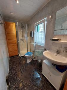 een badkamer met een wastafel, een toilet en een douche bij Ferienhäuser - Unter den Kiefern NR 23 oder Nr 27 in Marienfelde