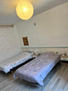 a bedroom with two beds and a light fixture at Gîte des reculées in Ladoye-sur-Seille