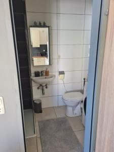 a bathroom with a toilet and a sink at Charmante Wohnung in Pregarten in Pregarten