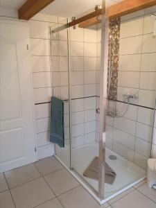 a shower with a glass door in a bathroom at Ferienhaus "Unter den Linden" in Eggesin