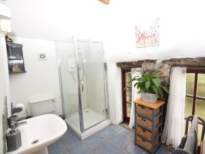 a bathroom with a shower and a toilet and a sink at 2 Bed in Tintagel 51184 in Lanteglos