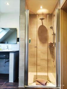 a shower with a glass door in a bathroom at Moselperle Hotel Garni in Wolf
