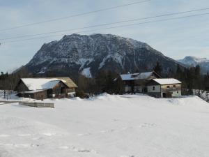 Príroda v okolí apartmánu