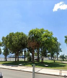 un groupe d'arbres du côté d'une route dans l'établissement Central & Cosy Flat near Aegean Sea Bostanlı Cemal Gürsel, à Karşıyaka