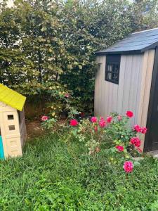 a garden with pink flowers and a small shed at Appartement adorable et jardin in Villiers-sur-Marne