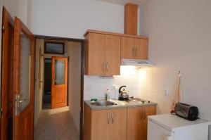 a kitchen with wooden cabinets and a sink at Apartments Karlin in Prague
