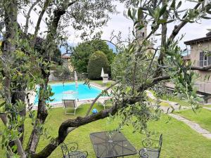 a view of a swimming pool in a yard at Residence Oleandro in Domaso