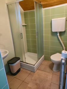 a bathroom with a shower and a toilet at Joky Katona Rooms & Apartments in Palić