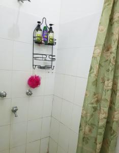 a bathroom with a shower with a shelf with bottles at Martintar Apartment Lodge 1 in Nadi +32 photos