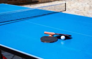 Stolní tenis v ubytování Villa Tea in Central Istria with private pool for 10 persons nebo okolí