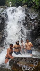 Gallery image of bamboo hut in Madikeri