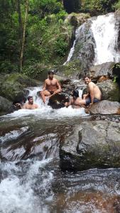 Gallery image of bamboo hut in Madikeri