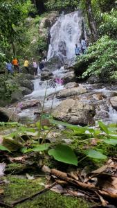 Gallery image of bamboo hut in Madikeri