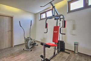 Posilňovňa alebo fitness centrum v ubytovaní Villa Stokovci in Central Istria for families and kids with a large garden and playground