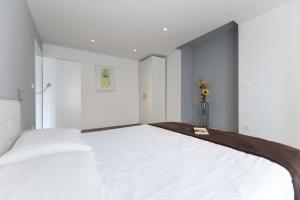 Posteľ alebo postele v izbe v ubytovaní Villa Viscum in Central Istria for 8 persons with large garden - pet friendly