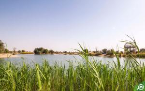 Gallery image of Al Qudra Lakes Camping by Hyba in Dubai