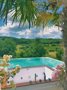 vista sulla piscina da una palma di Villa Zvonar near Motovun with large pool and whirlpool a Rakotule