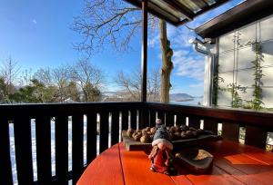 una mesa con un juguete en el balcón con vistas en Szegfű33 Vendégház, en Zebegény