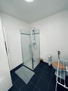 a bathroom with a shower and a toilet at Appartement Lahcen in Thorigny-sur-Marne