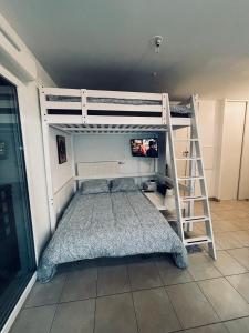 a bedroom with a bunk bed with a ladder at Appartement Lahcen in Thorigny-sur-Marne