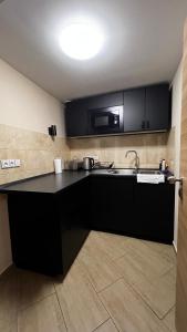 a kitchen with black cabinets and a sink at Penzion LaCasa in Vysoké Mýto