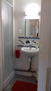 uma casa de banho com um lavatório e um espelho em CHU-Cité des congrès 6 personnes logement entier em Nantes
