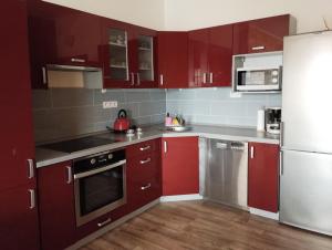 Kuchyňa alebo kuchynka v ubytovaní Apartmán v dřevěném domě