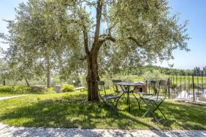 a picnic table and chairs under a tree at Residence Fontanelle in Cavaion Veronese
